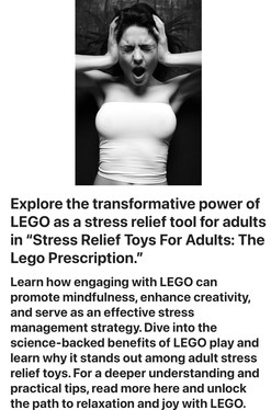 Image of the header for the post Stress Relief Toys For Adults: The Lego Prescription, at Lou’s Bricks House