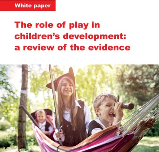 Header image from a white paper titled ‘The Role of Play in Children’s Development: A Review of the Evidence,’ showing children dressed as pirates playing in a hammock, highlighting the importance of creative play in cognitive and emotional growth. Image links to the article.